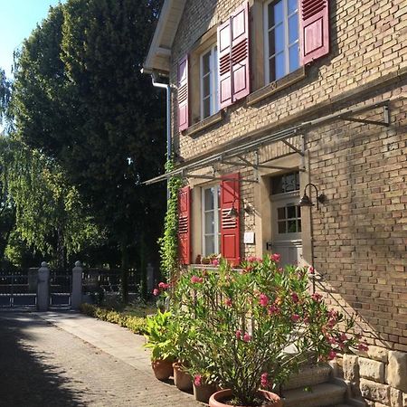 Wohlfuehlen Im Rheinhessischen Backsteinhaus Daire Armsheim Dış mekan fotoğraf