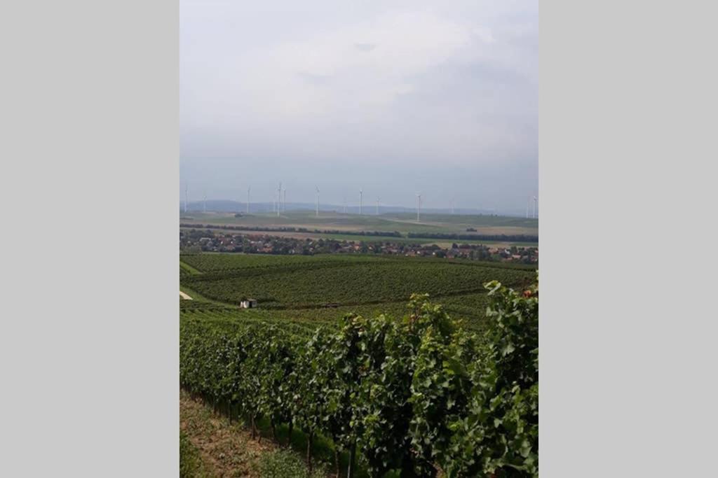 Wohlfuehlen Im Rheinhessischen Backsteinhaus Daire Armsheim Dış mekan fotoğraf